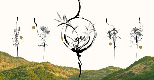 10 билки от Родопите с невероятни свойства