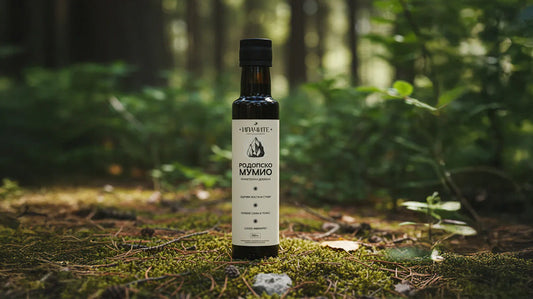 Произход и легенда на родопското мумийо